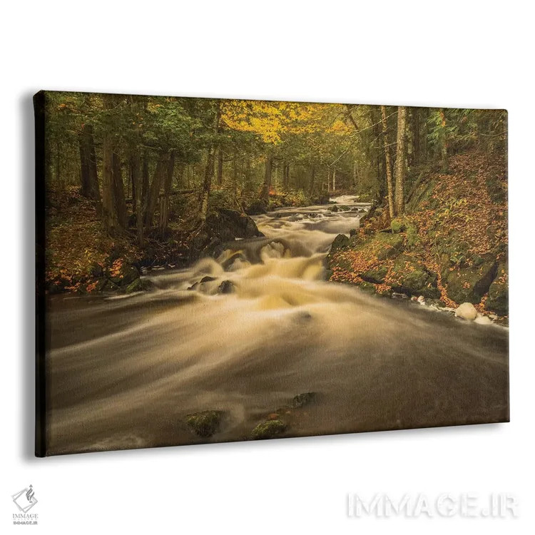 تابلو دکوراتیو Michigan. Fall Colors, Stream,آمریکا، میشیگان، رنگ های پایی… اثر جورج تئودور - نمای پرسپکتیو محصول
