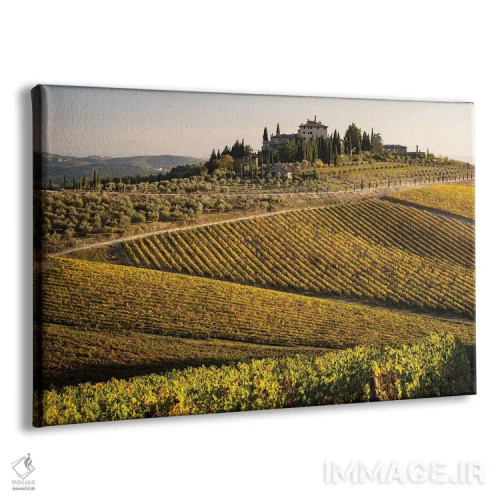 تابلو دکوراتیو Italy, Tuscany,تاکستان در پاییز ۱، ایتالیا، توسکانی اثر جورج تئودور - نمای پرسپکتیو محصول