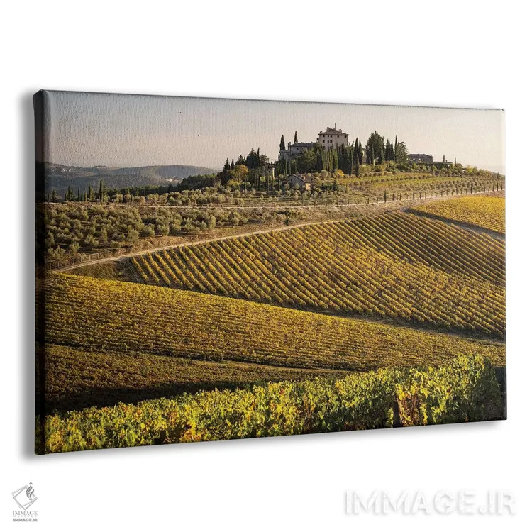 تابلو دکوراتیو Italy, Tuscany,تاکستان در پاییز ۱، ایتالیا، توسکانی اثر جورج تئودور - نمای پرسپکتیو محصول