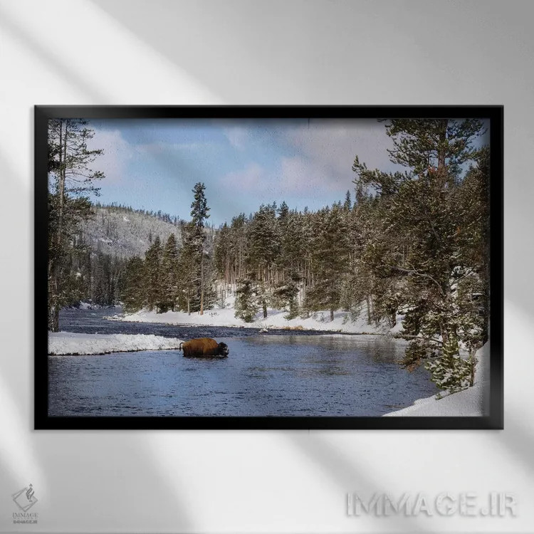 تابلو دکوراتیو bison crossing river in winter,پارک ملی یلواستون، بوفالو در… اثر جورج تئودور - نمای قابدار مشکی