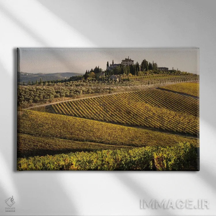 تابلو دکوراتیو Italy, Tuscany,تاکستان در پاییز ۱، ایتالیا، توسکانی اثر جورج تئودور - نمای روبهرو روی دیوار