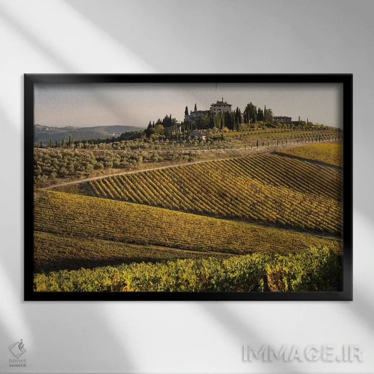 تابلو دکوراتیو Italy, Tuscany,تاکستان در پاییز ۱، ایتالیا، توسکانی اثر جورج تئودور - نمای قابدار مشکی