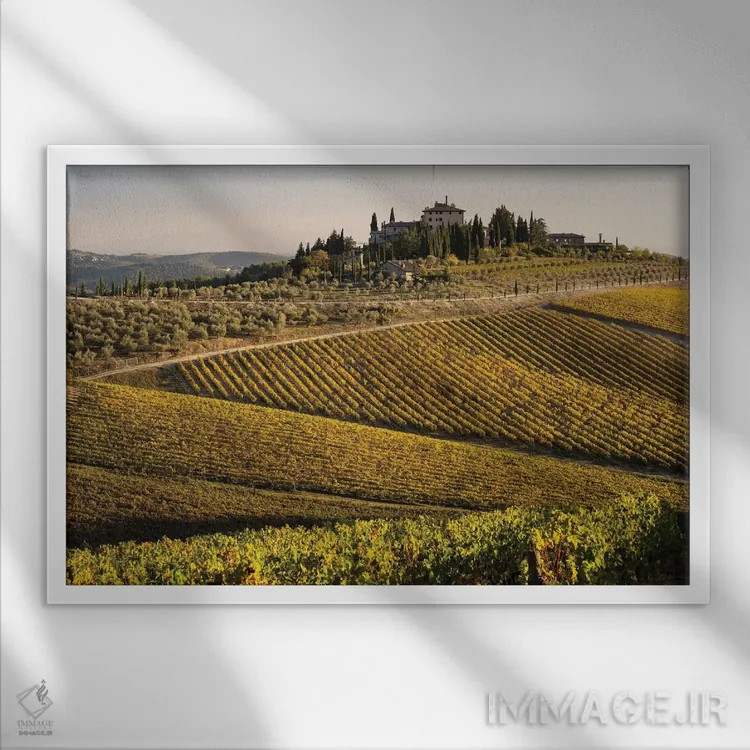 تابلو دکوراتیو Italy, Tuscany,تاکستان در پاییز ۱، ایتالیا، توسکانی اثر جورج تئودور - نمای قابدار سفید