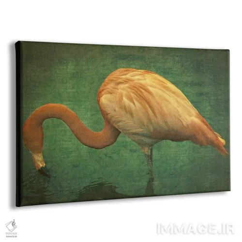 تابلو دکوراتیو فلامینگو کارائیبی اثر گرافیتی استودیوها - نمای پرسپکتیو محصول
