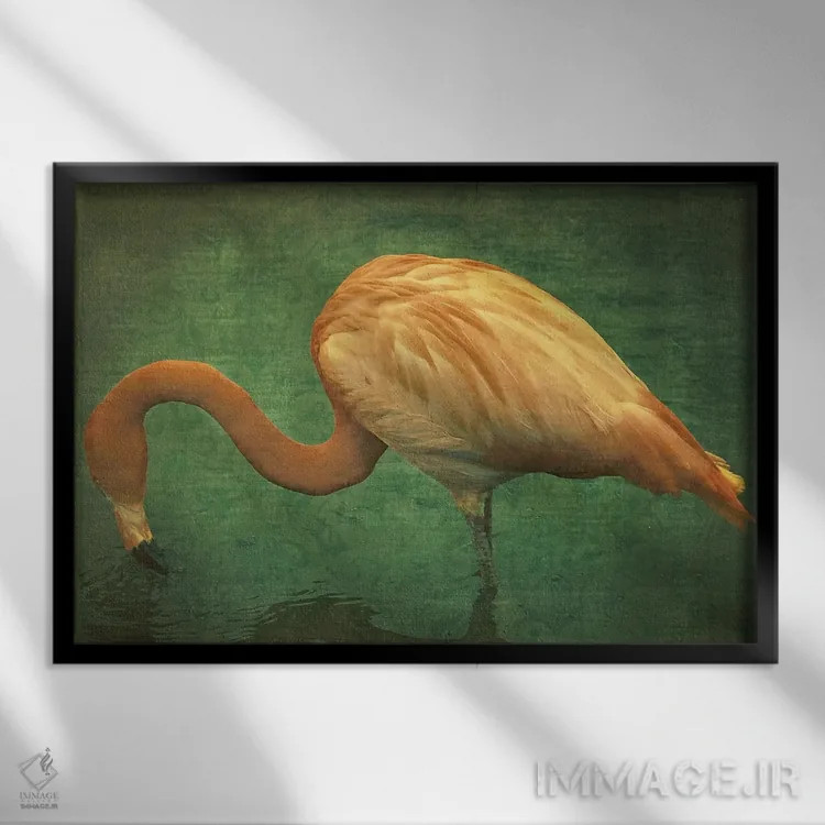 تابلو دکوراتیو فلامینگو کارائیبی اثر گرافیتی استودیوها - نمای قابدار مشکی