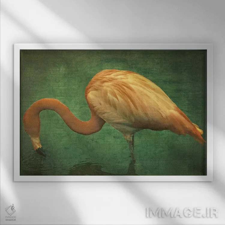 تابلو دکوراتیو فلامینگو کارائیبی اثر گرافیتی استودیوها - نمای قابدار سفید
