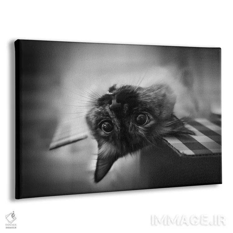 تابلو دکوراتیو سر و ته اثر لیا گوئو - نمای پرسپکتیو محصول