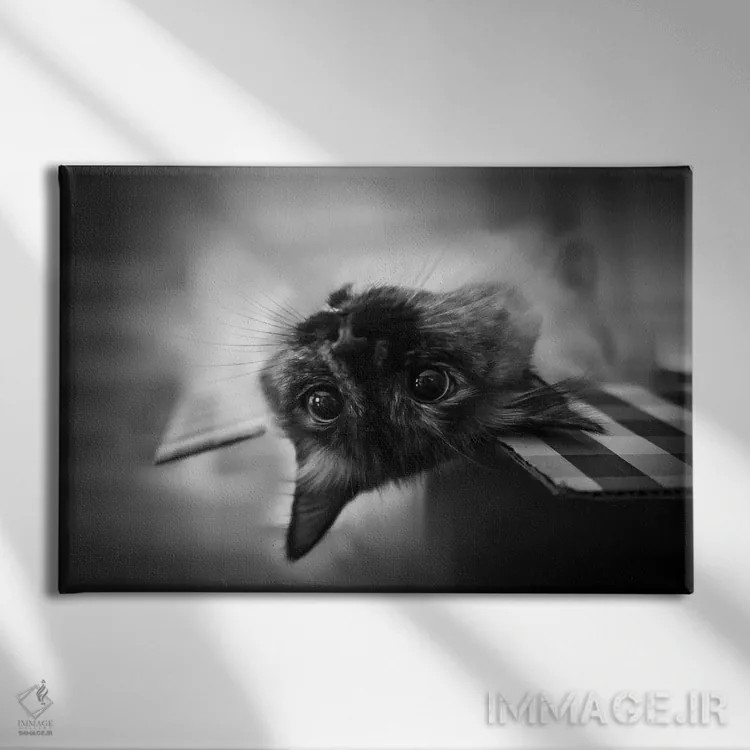 تابلو دکوراتیو سر و ته اثر لیا گوئو - نمای روبهرو روی دیوار