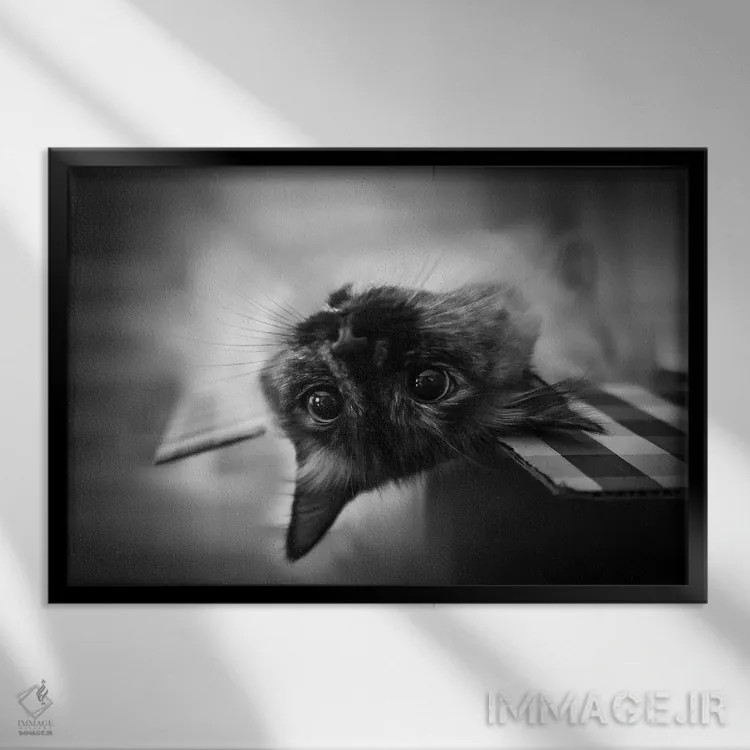 تابلو دکوراتیو سر و ته اثر لیا گوئو - نمای قابدار مشکی