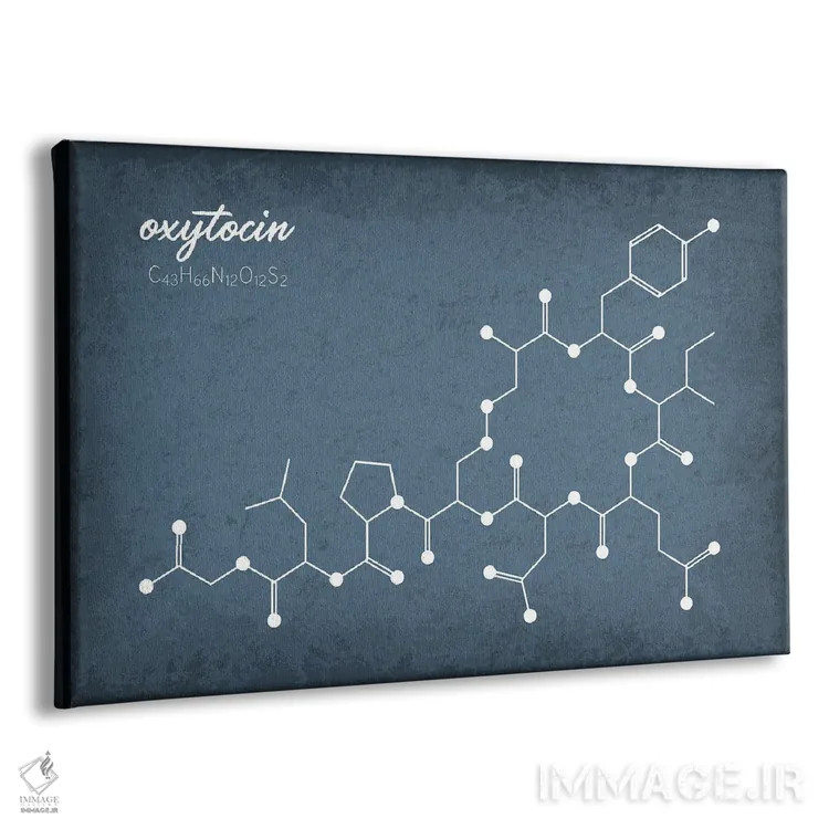 تابلو دکوراتیو مولکول اوکسی توسین ۲ اثر گت یور نرد آن - نمای پرسپکتیو محصول