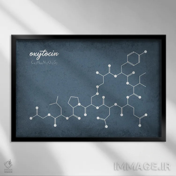 تابلو دکوراتیو مولکول اوکسی توسین ۲ اثر گت یور نرد آن - نمای قابدار مشکی