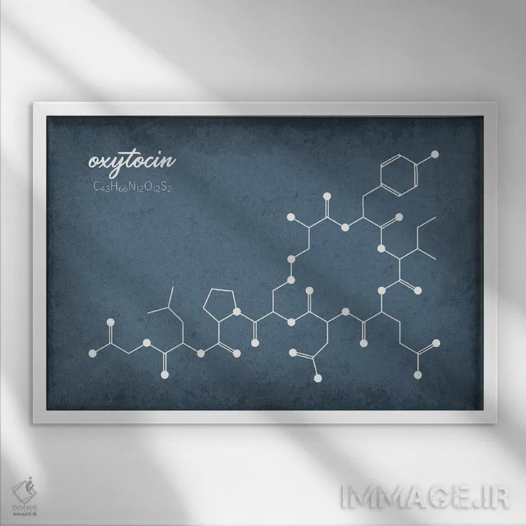 تابلو دکوراتیو مولکول اوکسی توسین ۲ اثر گت یور نرد آن - نمای قابدار سفید
