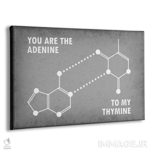 تابلو دکوراتیو تو آدنین مکمل تیمین من هستی اثر گت یور نرد آن - نمای پرسپکتیو محصول