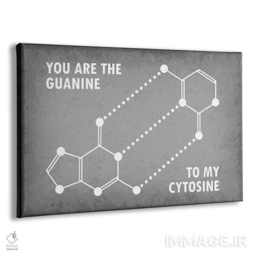 تابلو دکوراتیو تو گوانین مکمل سیتوزین من هستی اثر گت یور نرد آن - نمای پرسپکتیو محصول