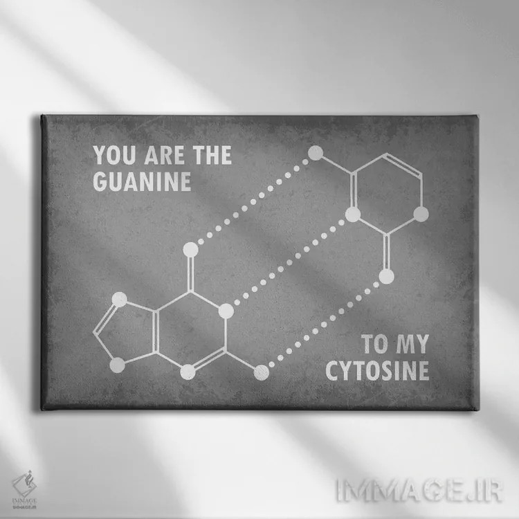 تابلو دکوراتیو تو گوانین مکمل سیتوزین من هستی اثر گت یور نرد آن - نمای روبهرو روی دیوار