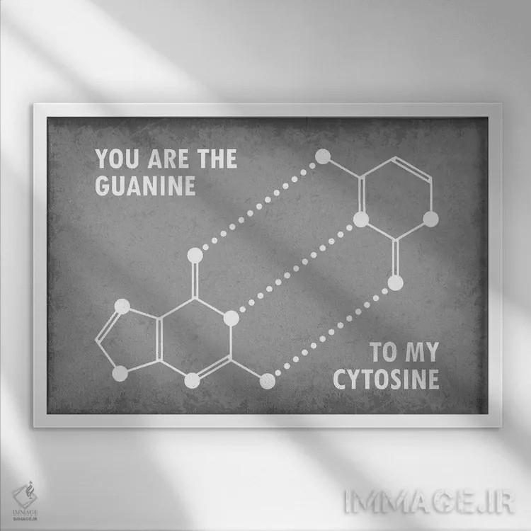 تابلو دکوراتیو تو گوانین مکمل سیتوزین من هستی اثر گت یور نرد آن - نمای قابدار سفید