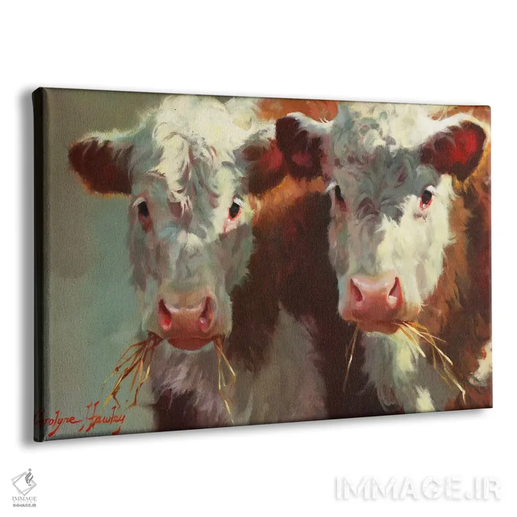 تابلو مدرن گاوهای زنگوله زن اثر کارولین هاولی - نمای پرسپکتیو محصول