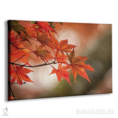 تابلو دکوراتیو برگ های پاییزی افرا ژاپنی از نمای نزدیک اثر شیلا حداد - نمای پرسپکتیو محصول
