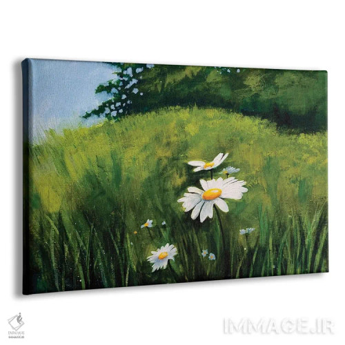 تابلو مدرن چمنزار گل مروارید اثر هایدی کلاوسون - نمای پرسپکتیو محصول