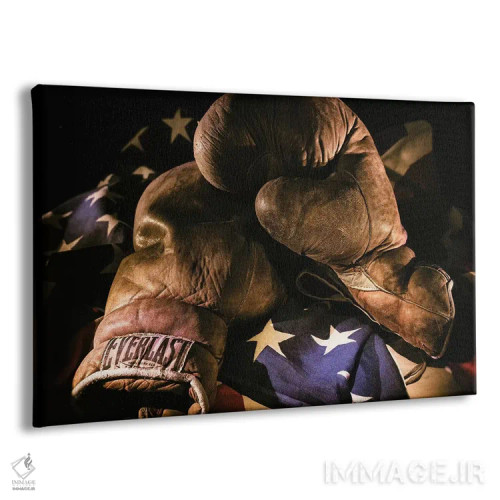 تابلو دکوراتیو یک جفت دستکش بوکس قدیمی روی پرچمی با نورپردازی هنرمندانه اثر شیلا حداد - نمای پرسپکتیو محصول