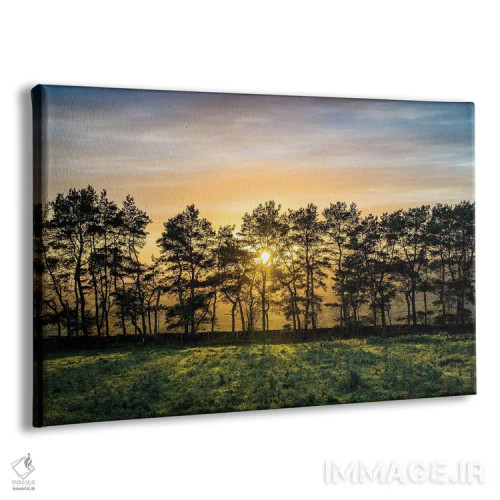 تابلو دکوراتیو درخت پاییزی منطقه پیک اثر استیفن هاجتس - نمای پرسپکتیو محصول