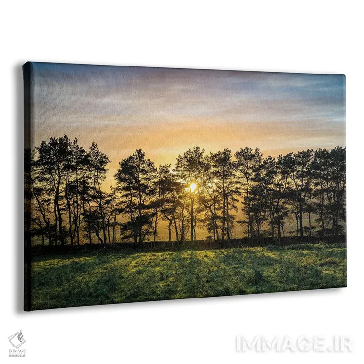 تابلو دکوراتیو درخت پاییزی منطقه پیک اثر استیفن هاجتس - نمای پرسپکتیو محصول
