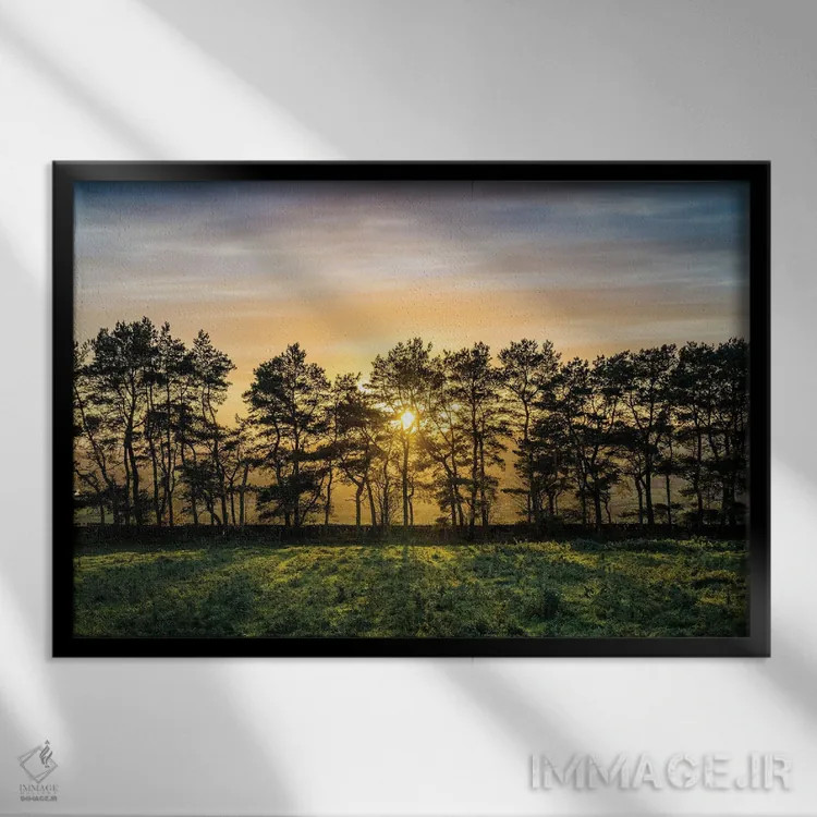 تابلو دکوراتیو درخت پاییزی منطقه پیک اثر استیفن هاجتس - نمای قابدار مشکی