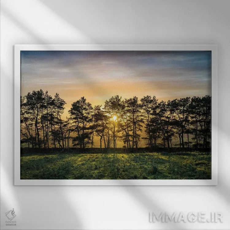 تابلو دکوراتیو درخت پاییزی منطقه پیک اثر استیفن هاجتس - نمای قابدار سفید