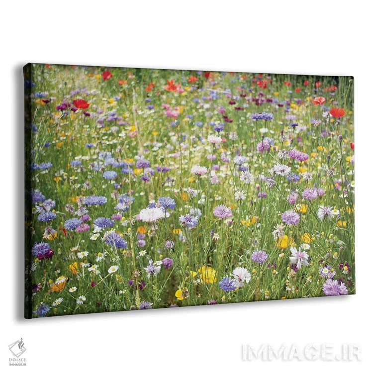 تابلو دکوراتیو گل های وحشی اسکاتلند اثر استیفن هاجتس - نمای پرسپکتیو محصول