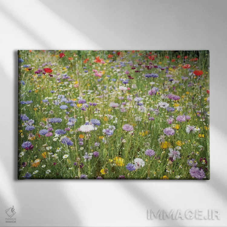 تابلو دکوراتیو گل های وحشی اسکاتلند اثر استیفن هاجتس - نمای روبهرو روی دیوار