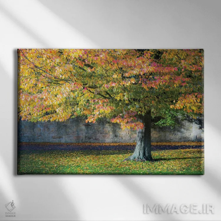 تابلو دکوراتیو درخت پاییزی، انگلستان اثر استیفن هاجتس - نمای روبهرو روی دیوار