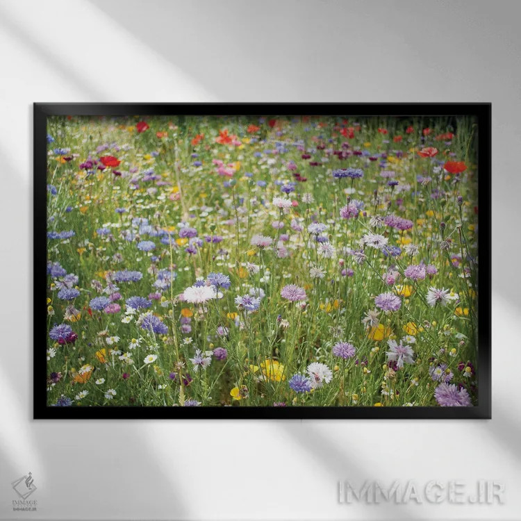 تابلو دکوراتیو گل های وحشی اسکاتلند اثر استیفن هاجتس - نمای قابدار مشکی