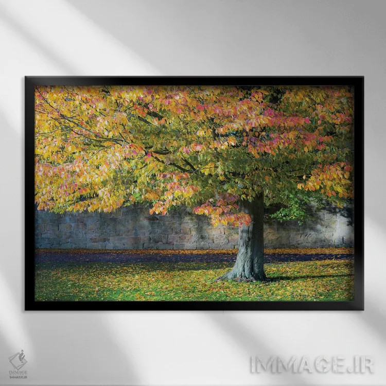 تابلو دکوراتیو درخت پاییزی، انگلستان اثر استیفن هاجتس - نمای قابدار مشکی