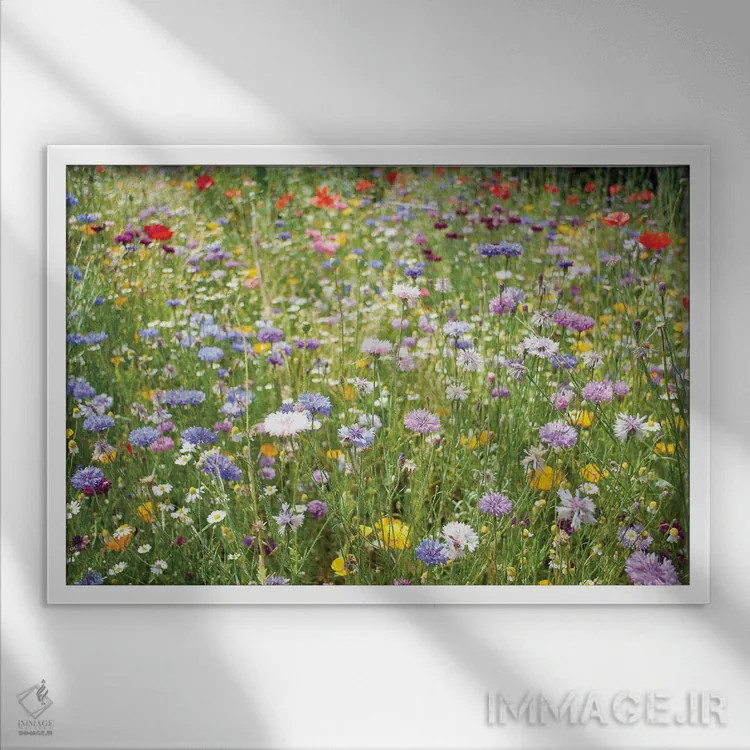تابلو دکوراتیو گل های وحشی اسکاتلند اثر استیفن هاجتس - نمای قابدار سفید