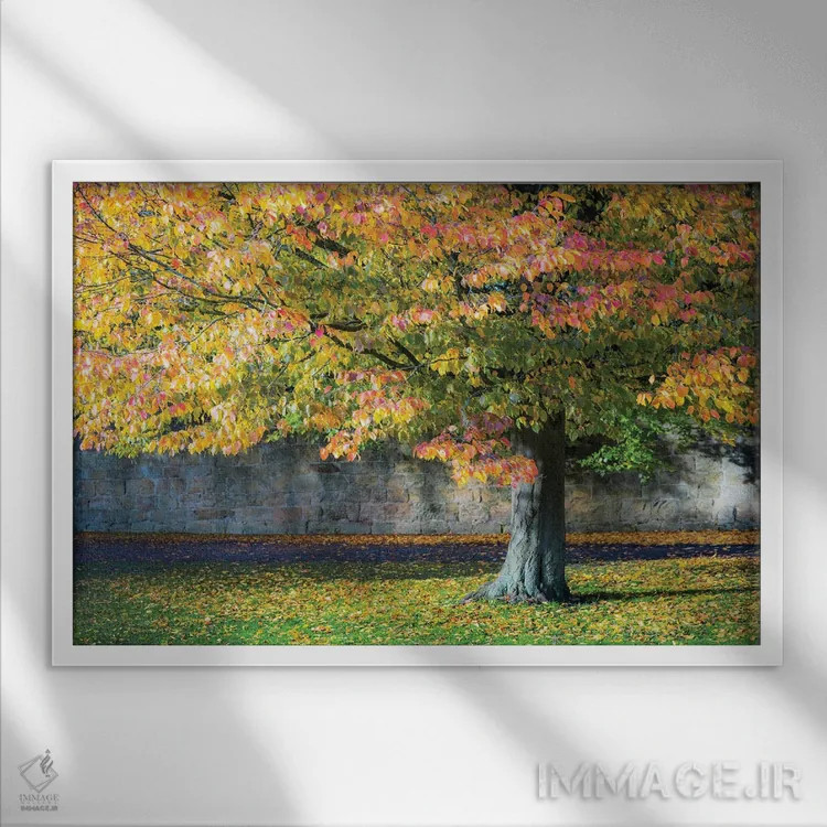 تابلو دکوراتیو درخت پاییزی، انگلستان اثر استیفن هاجتس - نمای قابدار سفید