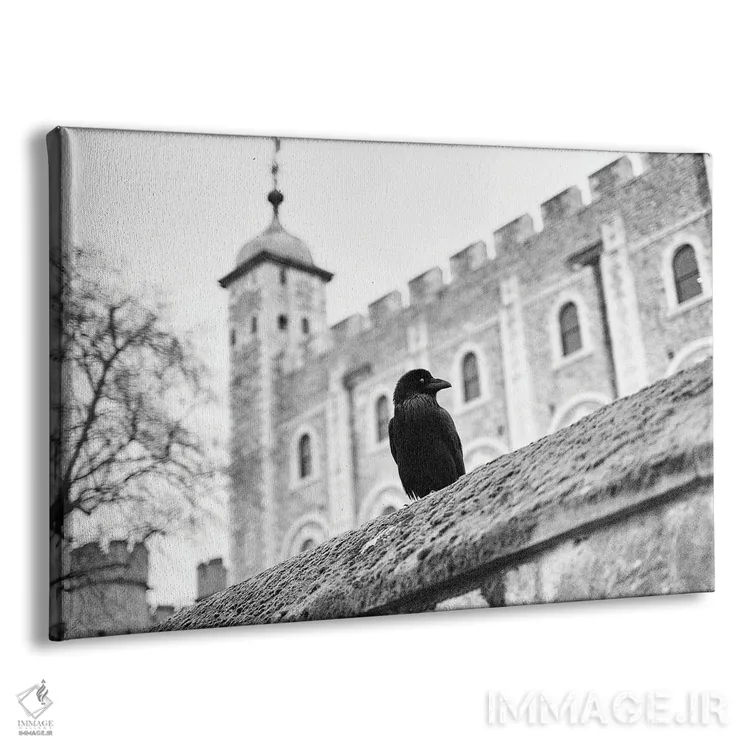 تابلو دکوراتیو برج کلاغ لندن اثر استیفن هاجتس - نمای پرسپکتیو محصول