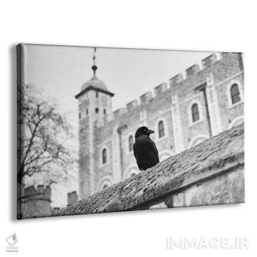 تابلو دکوراتیو برج کلاغ لندن اثر استیفن هاجتس - نمای پرسپکتیو محصول