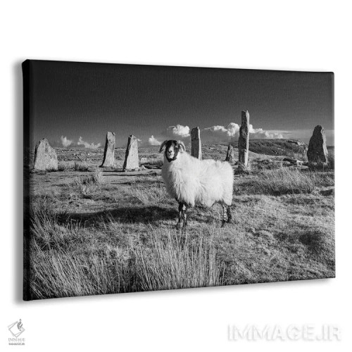 تابلو دکوراتیو سنگ های کالانیش، جزیره لوییس اثر استیفن هاجتس - نمای پرسپکتیو محصول