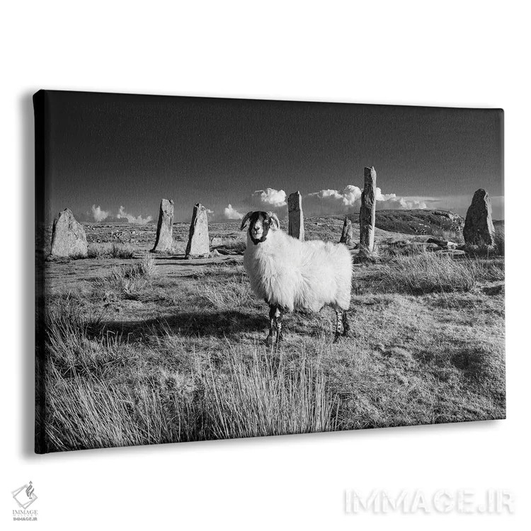 تابلو دکوراتیو سنگ های کالانیش، جزیره لوییس اثر استیفن هاجتس - نمای پرسپکتیو محصول