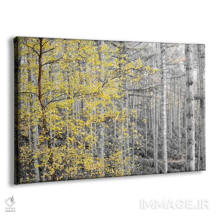 تابلو دکوراتیو پاییز به زمستان می رسد اثر استیفن هاجتس - نمای پرسپکتیو محصول