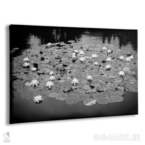 تابلو دکوراتیو برکه سوسن آبی اثر استیفن هاجتس - نمای پرسپکتیو محصول