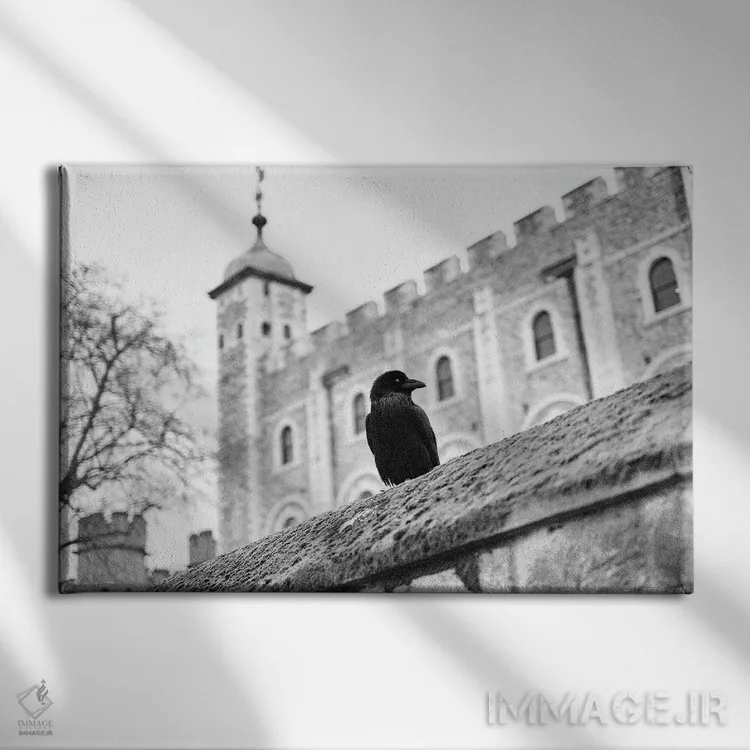 تابلو دکوراتیو برج کلاغ لندن اثر استیفن هاجتس - نمای روبهرو روی دیوار