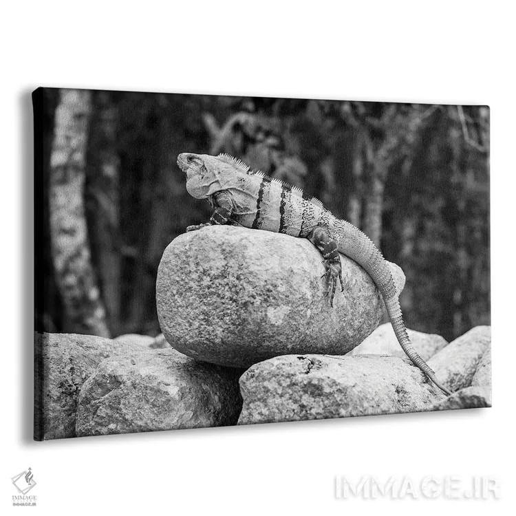 تابلو دکوراتیو ایگوانا اثر استیفن هاجتس - نمای پرسپکتیو محصول
