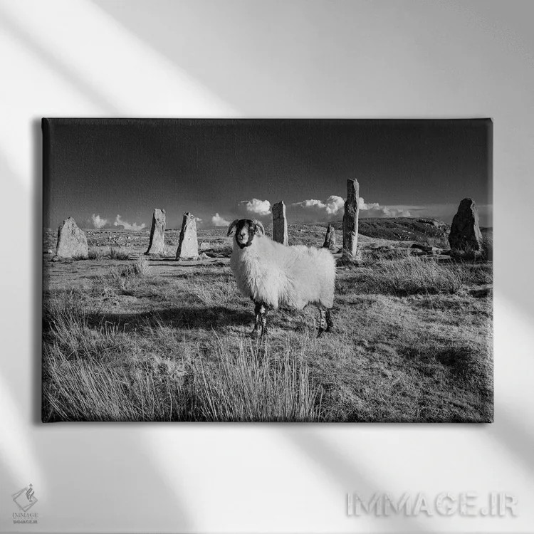 تابلو دکوراتیو سنگ های کالانیش، جزیره لوییس اثر استیفن هاجتس - نمای روبهرو روی دیوار