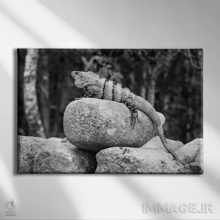 تابلو دکوراتیو ایگوانا اثر استیفن هاجتس - نمای روبهرو روی دیوار