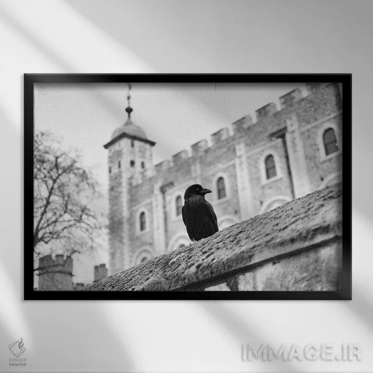 تابلو دکوراتیو برج کلاغ لندن اثر استیفن هاجتس - نمای قابدار مشکی