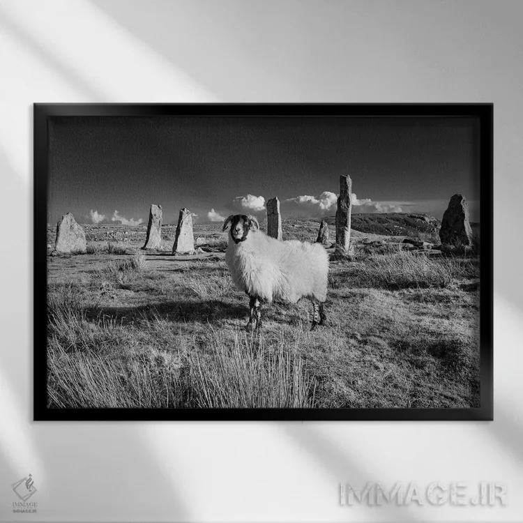 تابلو دکوراتیو سنگ های کالانیش، جزیره لوییس اثر استیفن هاجتس - نمای قابدار مشکی