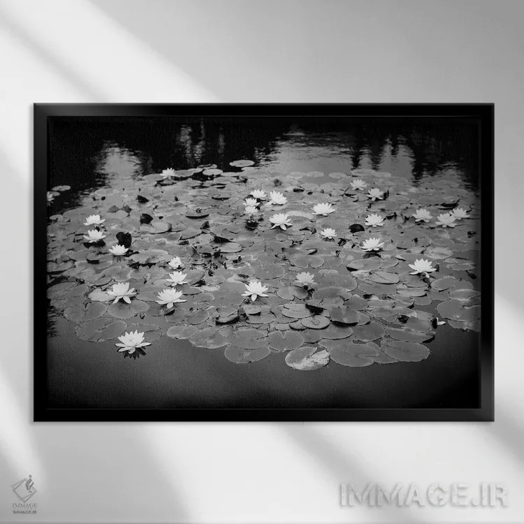 تابلو دکوراتیو برکه سوسن آبی اثر استیفن هاجتس - نمای قابدار مشکی