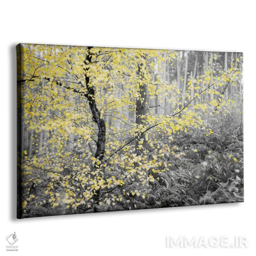 تابلو دکوراتیو درخت پاییزی و زمستانی اثر استیفن هاجتس - نمای پرسپکتیو محصول