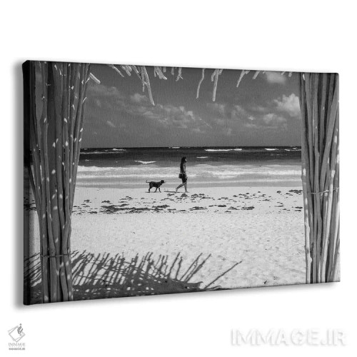 تابلو دکوراتیو یک مرد و سگش اثر استیفن هاجتس - نمای پرسپکتیو محصول